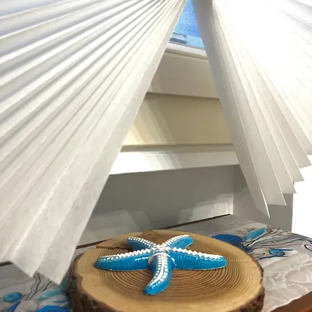 Stella Di Mare * 巴里